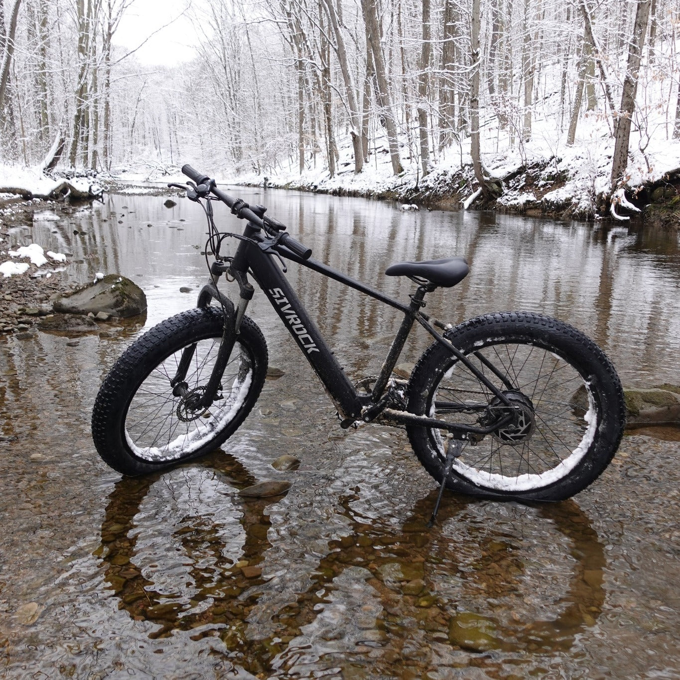 1000W Fat Tire Electric Mountain Bike – 48V 15Ah Adult Ebike