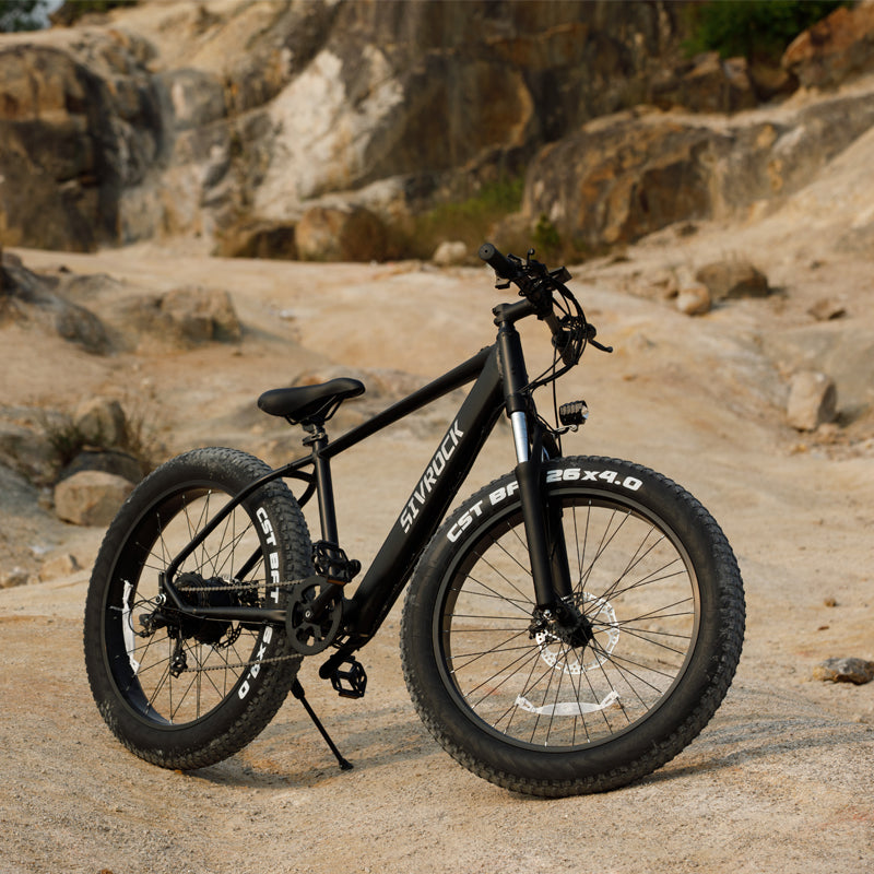 1000W Fat Tire Electric Mountain Bike – 48V 15Ah Adult Ebike